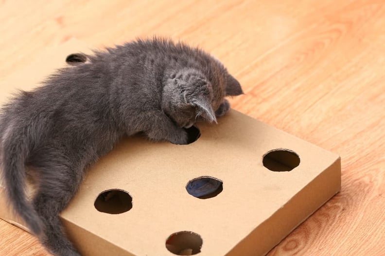 Diy cat puzzle top toys